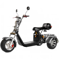 Электроскутер трехколесный CITYCOCO GT X11 TRIKE Серебристый